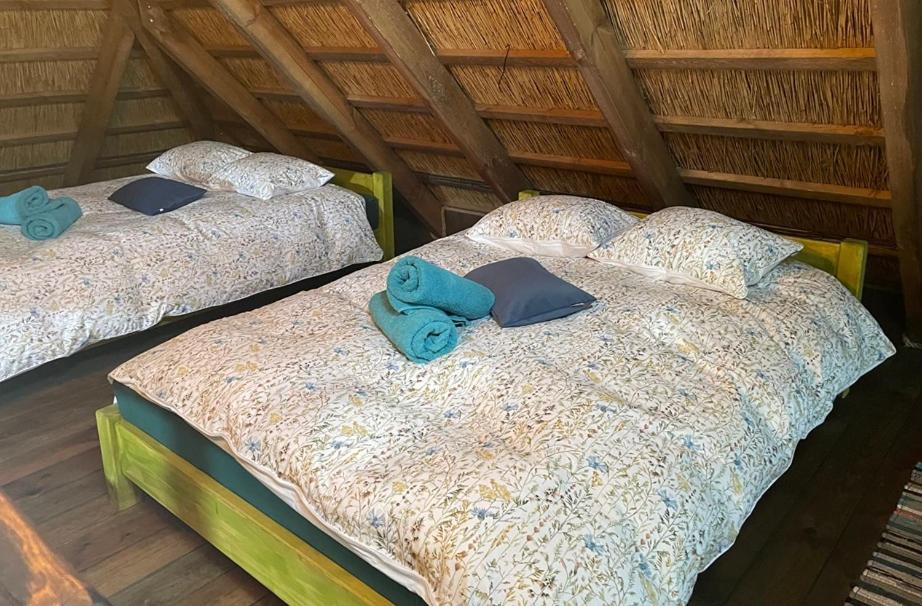 Ferienhaus Mirabelkowe Zacisze *